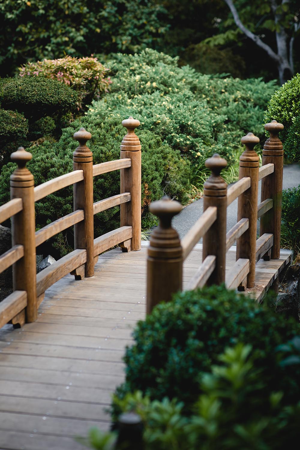 brown wooden bridge photograph
